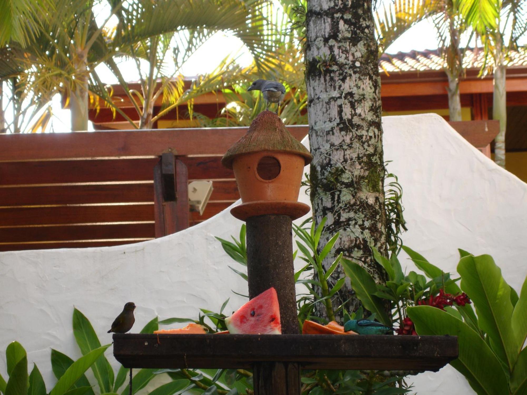 Pousada Torre Del Mar Ubatuba Exterior foto